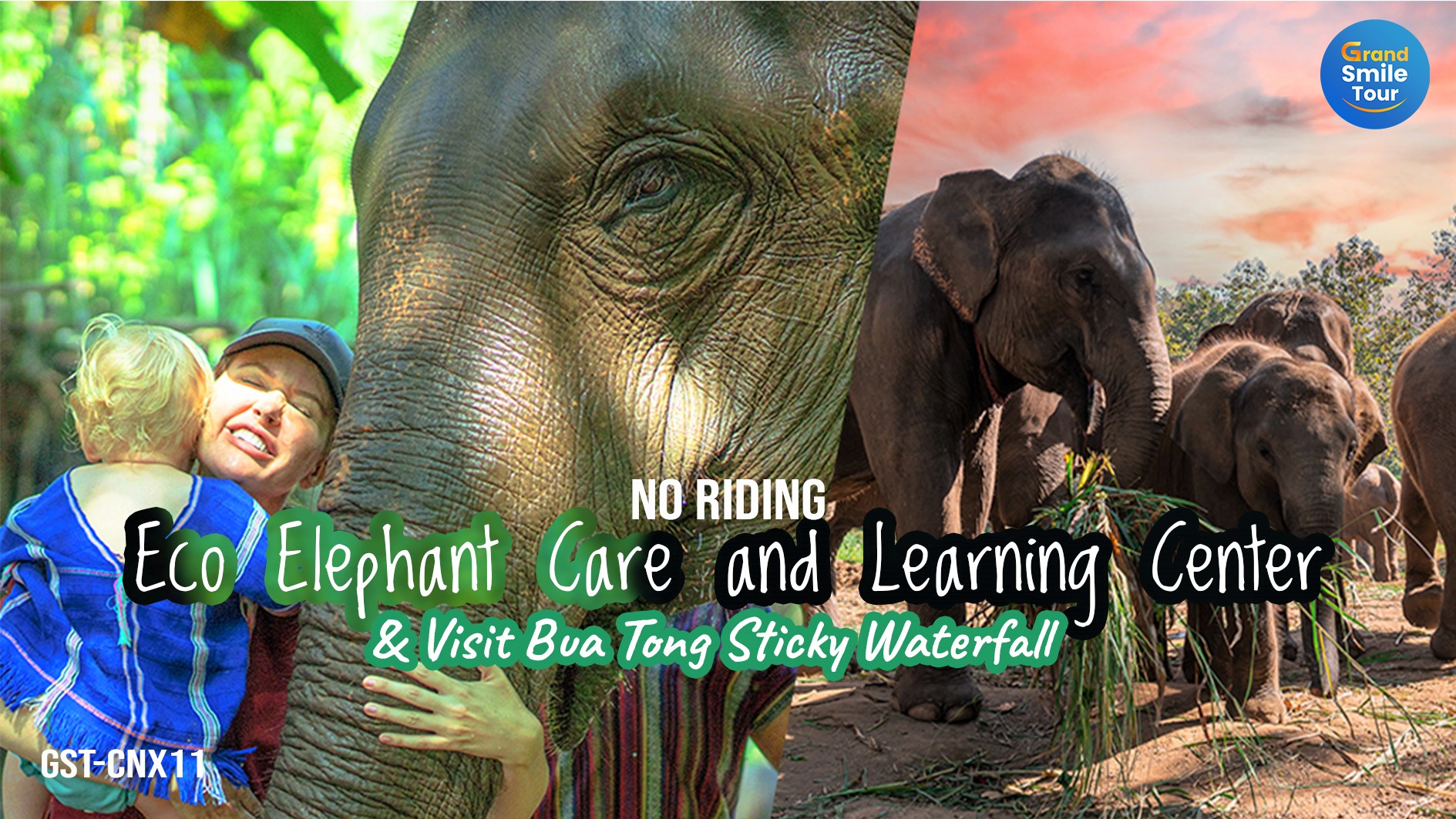 GST-CNX11 One Day Tour Eco Elephant Care & visit Bua Tong Sticky Waterfall