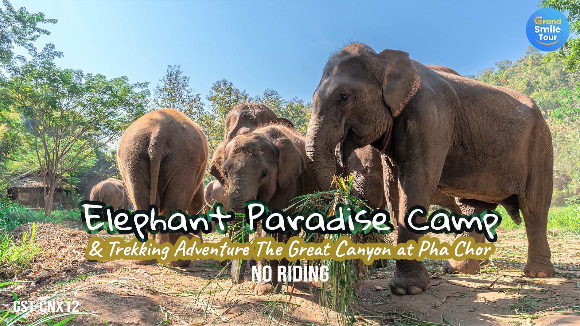 GST-CNX12 Full Day Elephant Paradise Camp & Trekking at PhaChor