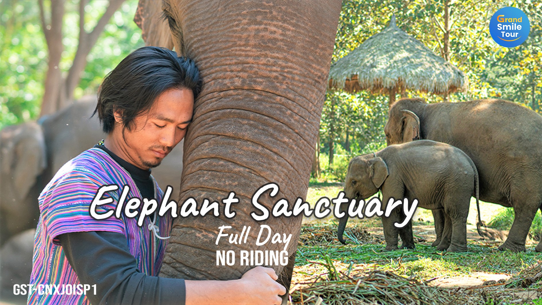 GST-CNXJOISP1 Full Day Elephant Sanctuary