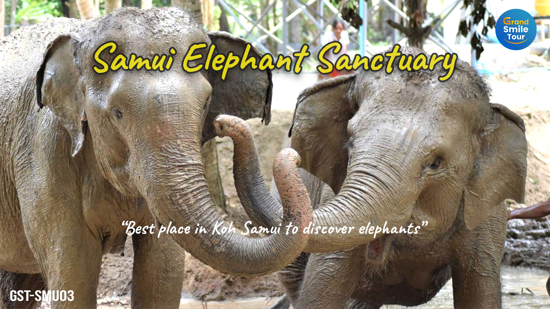 GST-SMU03 Samui Elephant Jungle Sanctuary